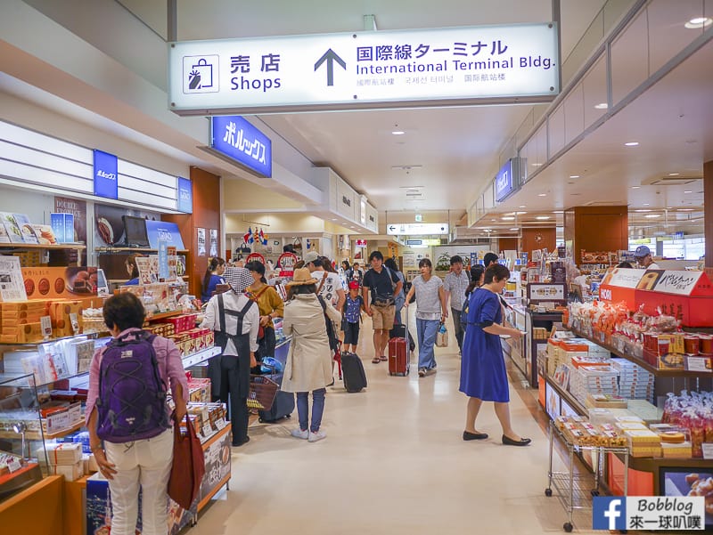 Hakodate airport depart 21