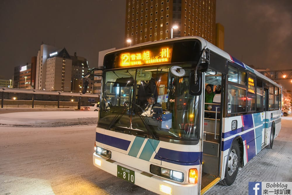 Asahikawa-ice-festival-46