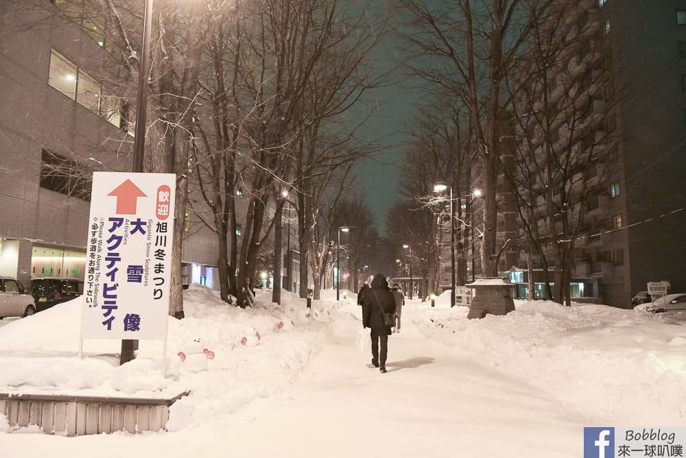 Asahikawa-ice-festival-8