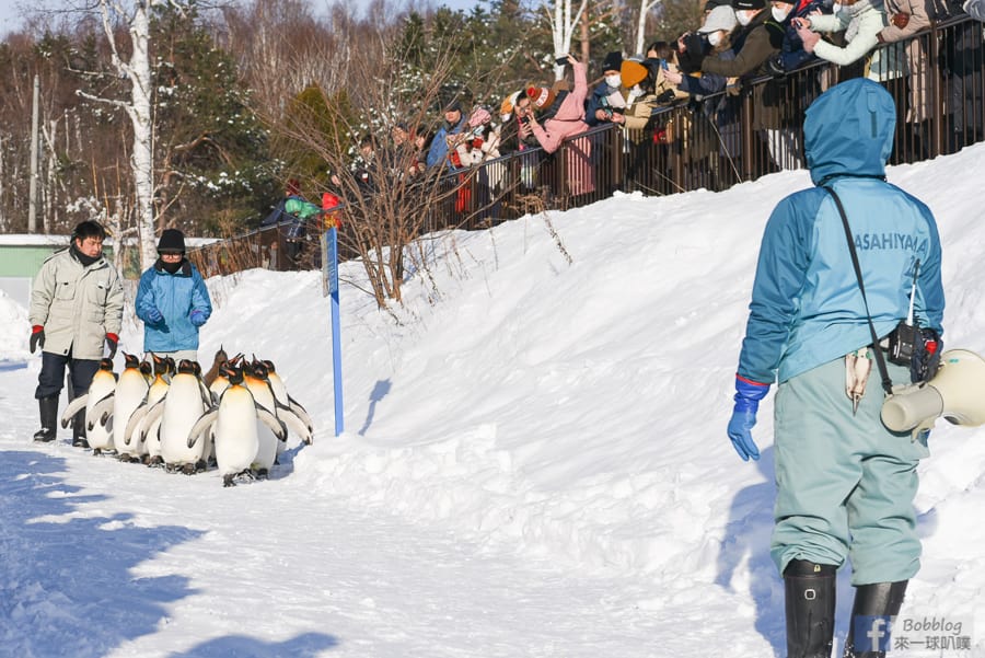 Asahikawa-zoo-65