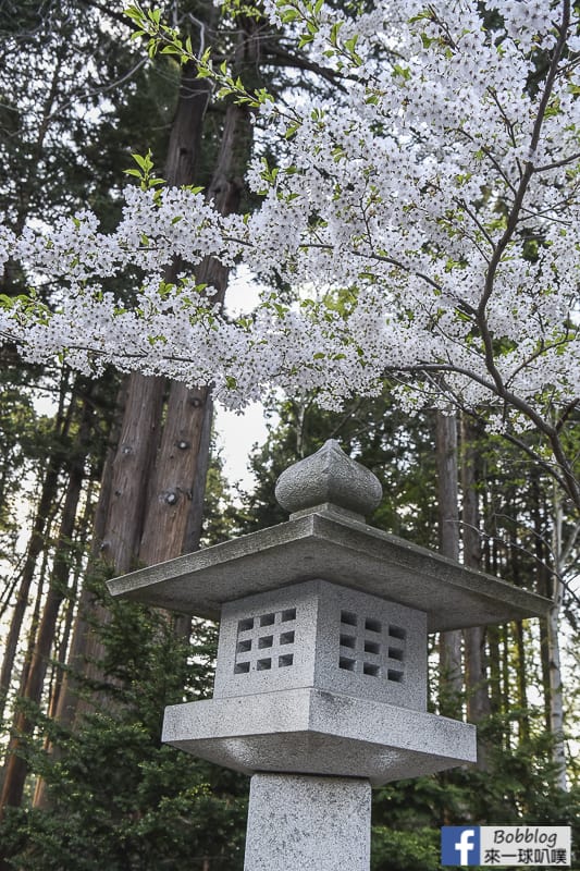 Hokkaido Shrine 29