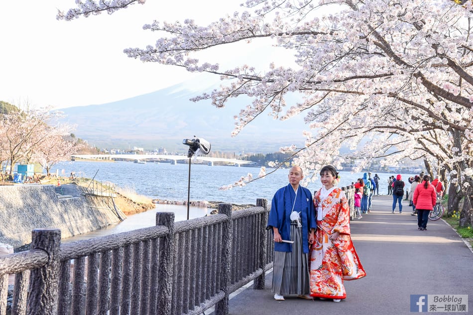 Kawaguchiko-sakura-40