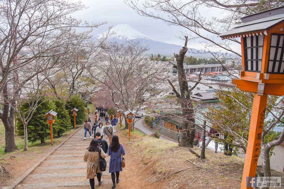 arakurayama-sengen-park-sakura-11