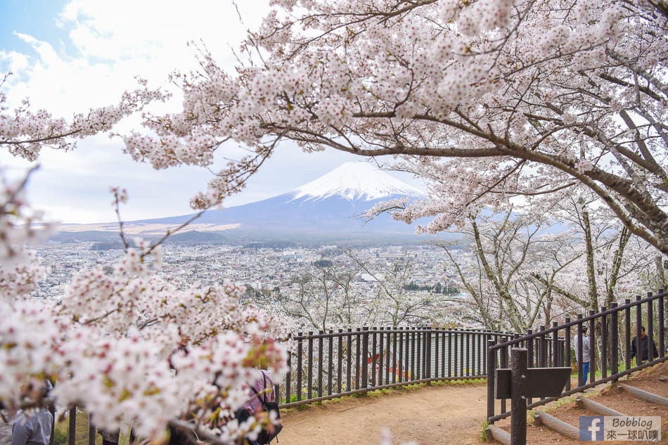 arakurayama-sengen-park-sakura-23