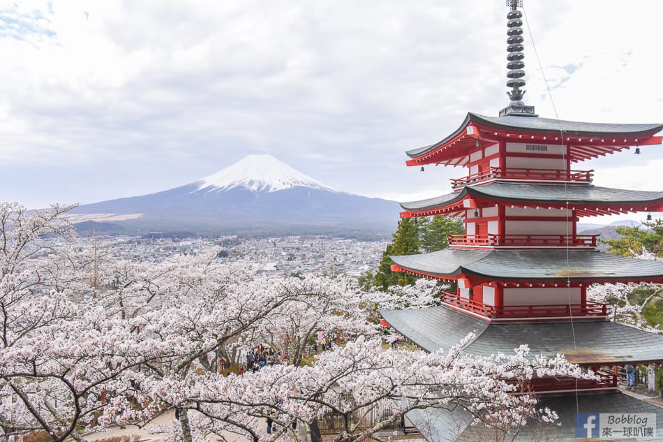 arakurayama-sengen-park-sakura-25