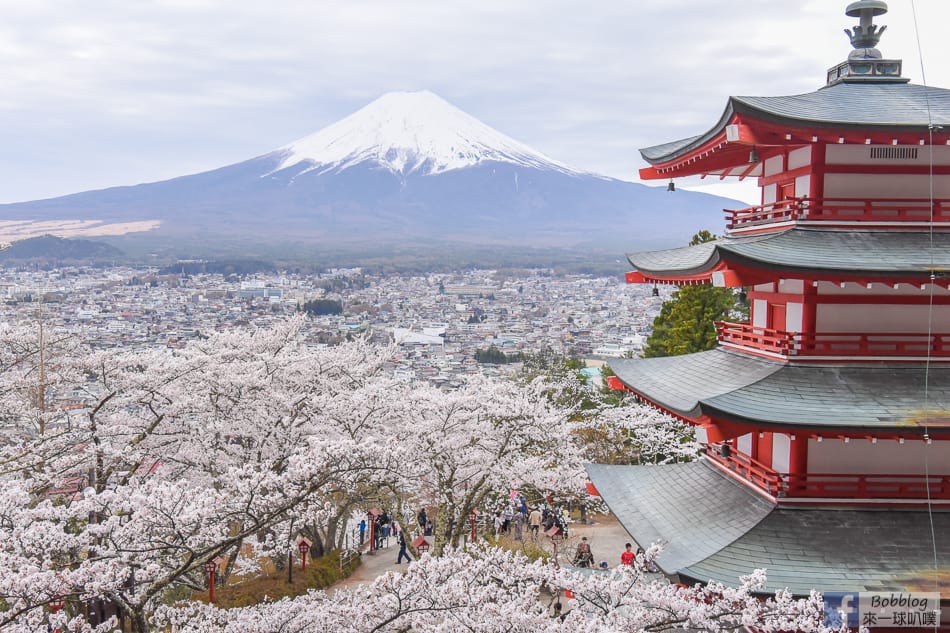 arakurayama-sengen-park-sakura-27