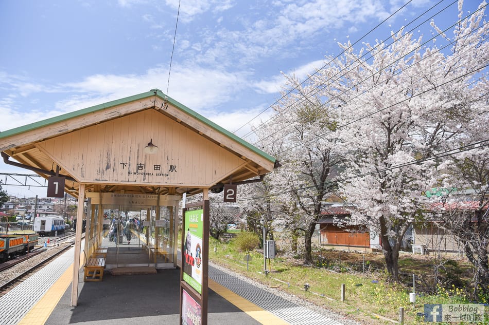 arakurayama-sengen-park-sakura-4