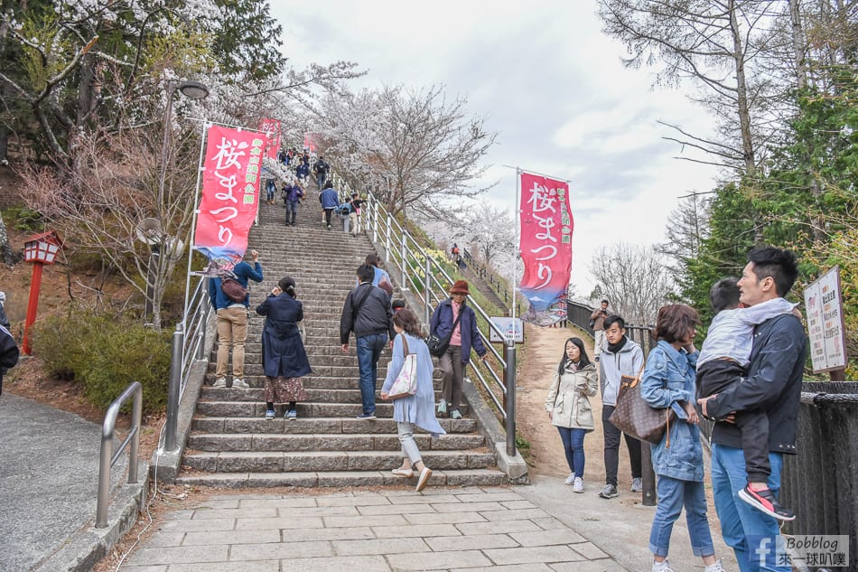 arakurayama-sengen-park-sakura-41