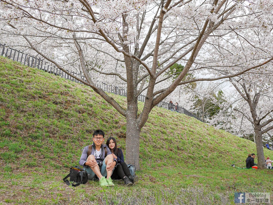 arakurayama-sengen-park-sakura-49