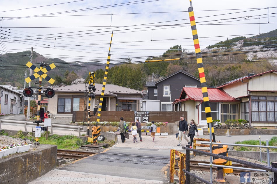 arakurayama-sengen-park-sakura-5