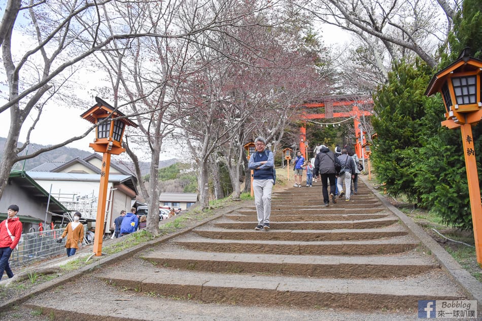 arakurayama-sengen-park-sakura-9