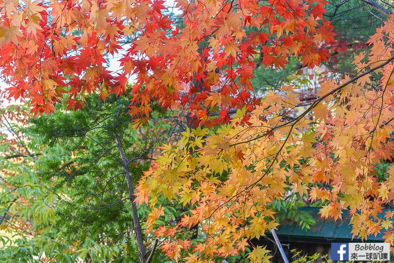 Jozankei-Onsen-48