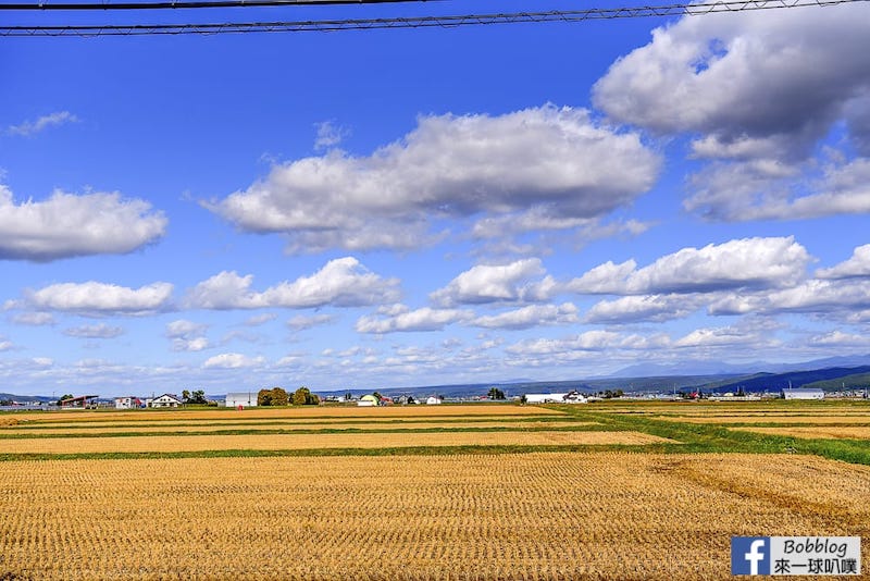 Torinuma Park 3