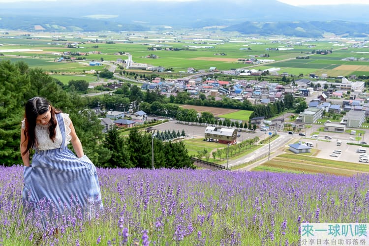 北海道富良野|北星山町營薰衣草園花海、搭登山吊椅賞薰衣草