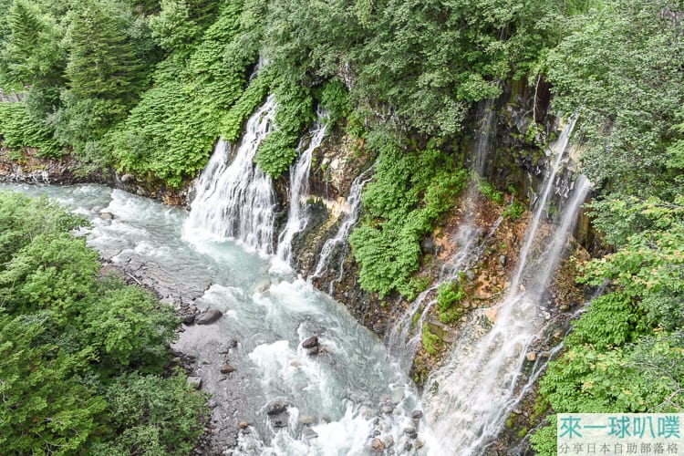 北海道美瑛景點|白鬚瀑布(白ひげの滝)、十勝岳望岳台