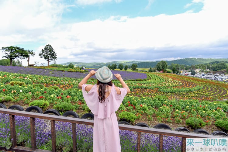 夏天北海道美瑛景點推薦|亞斗夢之丘、美麗花海薰衣草田