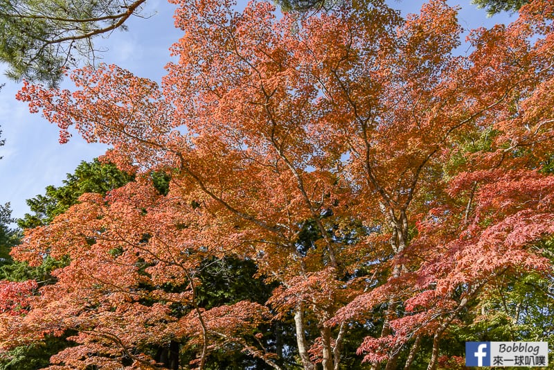 miharashi-park-kosetsuen-18