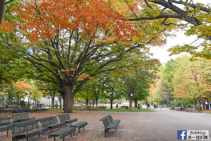 sapporo-odori-park-MAPLE-15