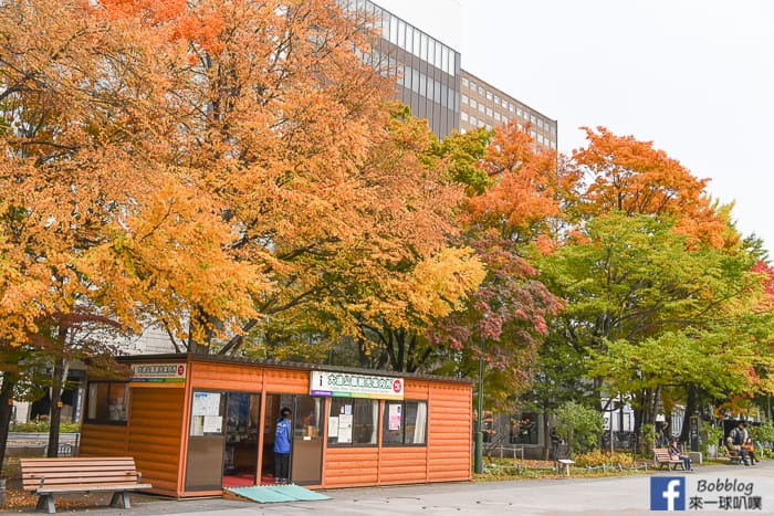 sapporo-odori-park-MAPLE-20