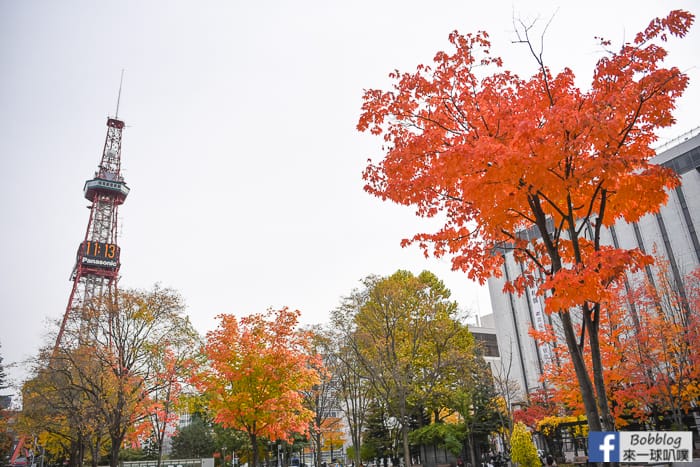 sapporo-odori-park-MAPLE-26