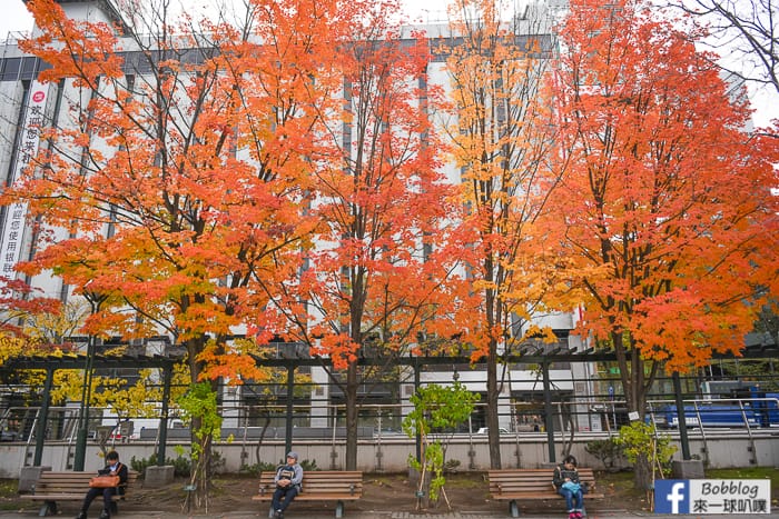 sapporo-odori-park-MAPLE-27