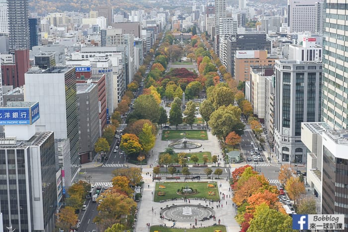 sapporo-odori-park-MAPLE-47