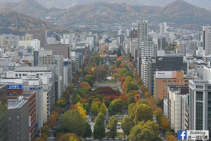 sapporo-odori-park-MAPLE-52