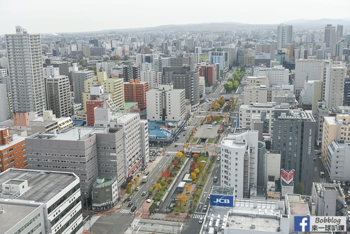 sapporo-odori-park-MAPLE-56