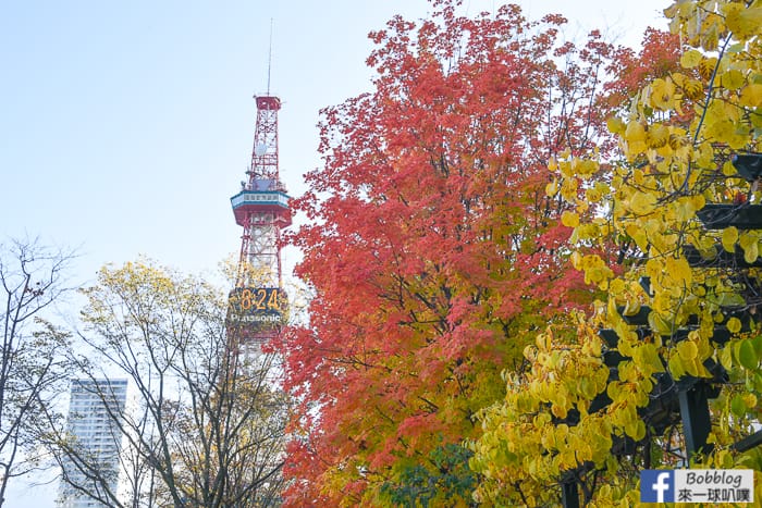 sapporo-odori-park-MAPLE-7