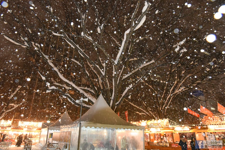 sapporo-ice-festival-14