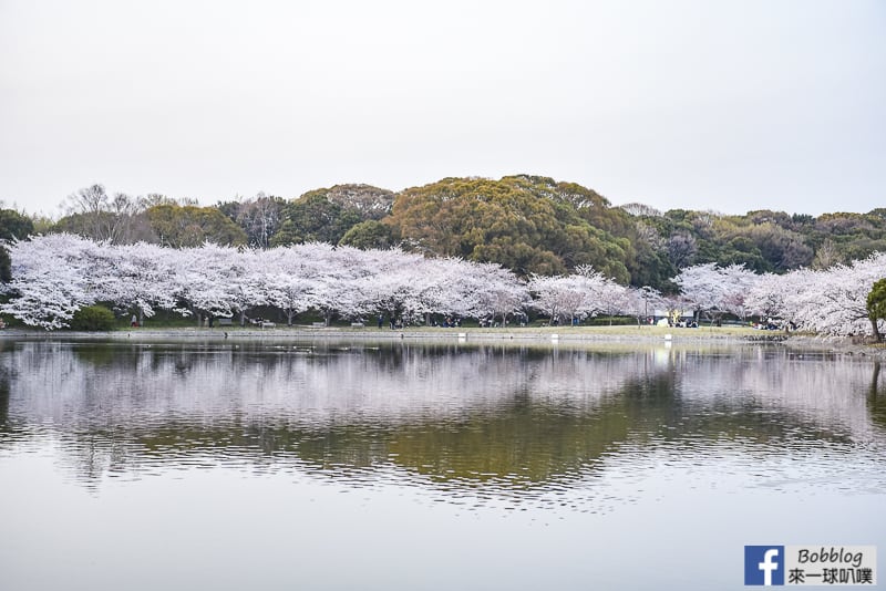 Akashi-Castle-28