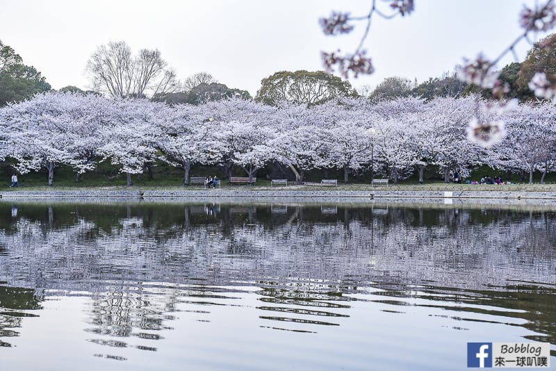 Akashi-Castle-31