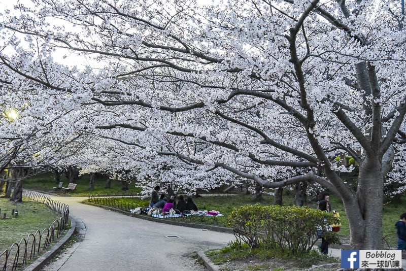 Akashi-Castle-39