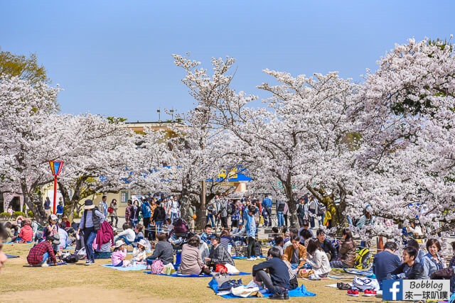 Himeji-Castle-23