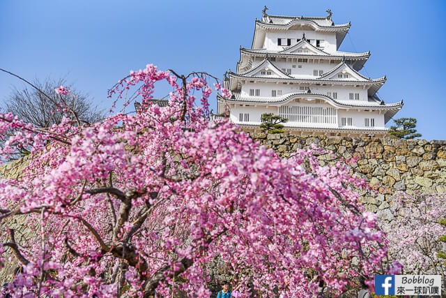 Himeji-Castle-82