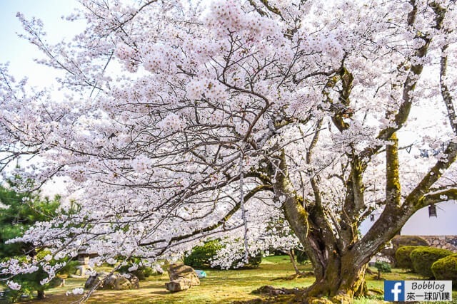 Himeji-Castle-97