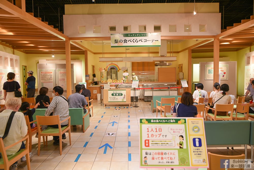 Tottori-Nijisseiki-Pear-Museum-10