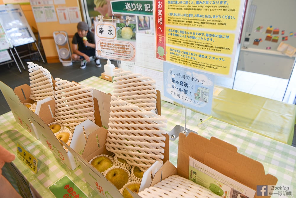 Tottori-Nijisseiki-Pear-Museum-19