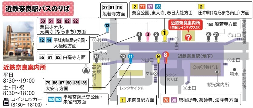 奈良景點|奈良公園超美楓葉銀杏、奈良公園買鹿餅餵鹿