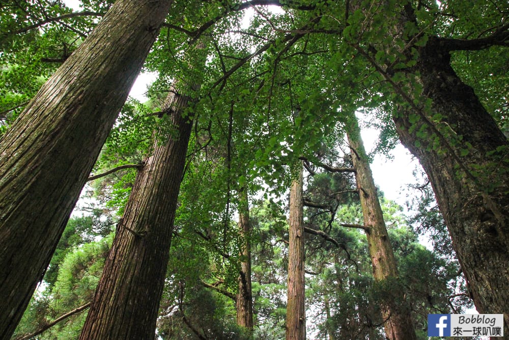 takachiho-Shrine-10