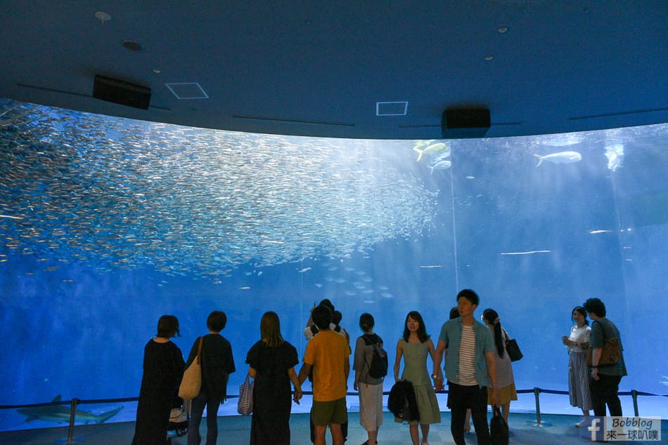 nagoya-aquarium-66