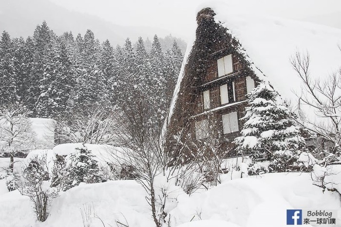 shirakawago-8