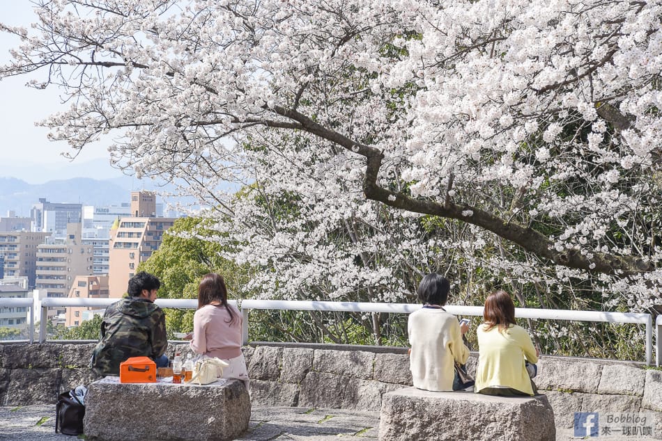 Hijiyama-park-Sakura-17