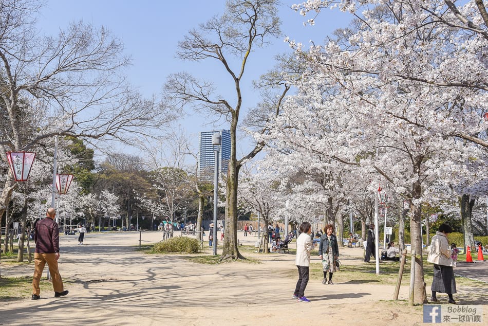 Hijiyama-park-Sakura-21