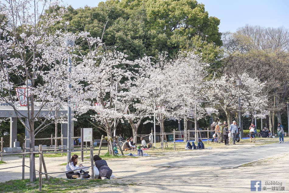 Hijiyama-park-Sakura-23