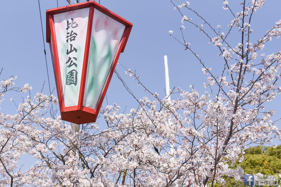 Hijiyama-park-Sakura-5