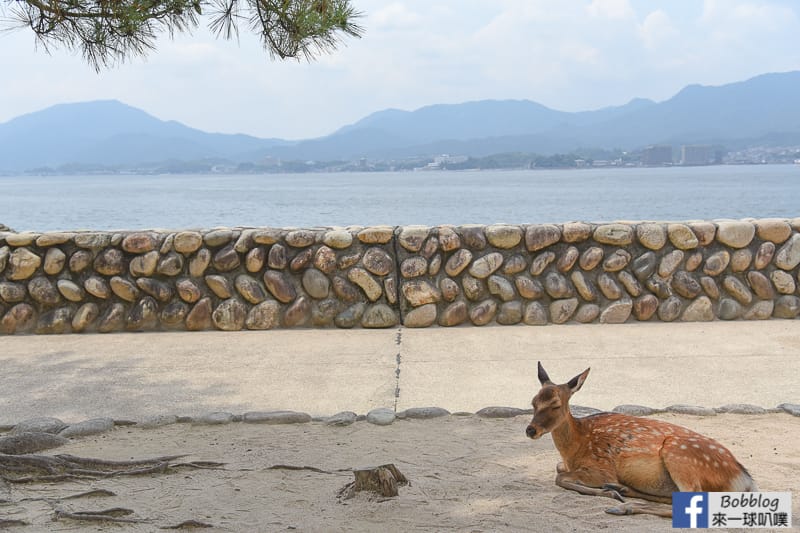 Itsukushima-shopping-street-9