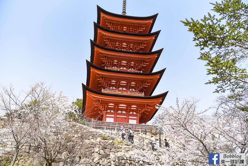 Miyajima-sakura-9