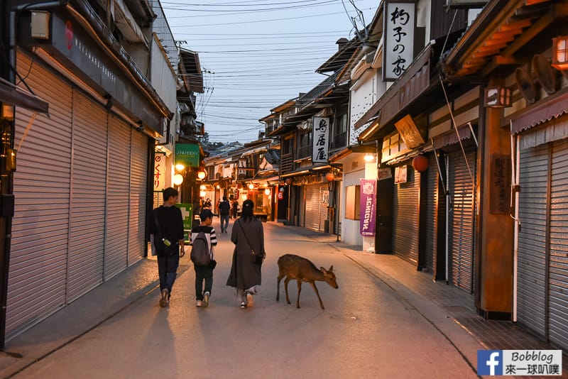 Miyajima-torii-38