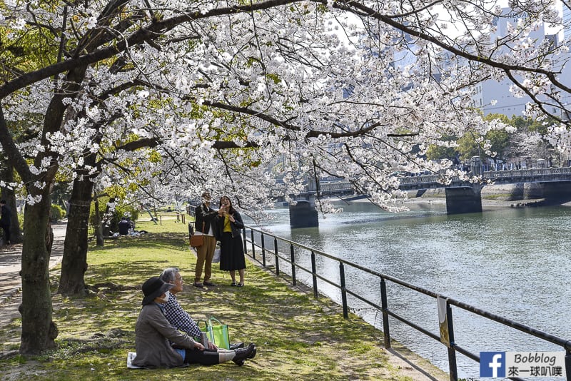 enkoh-bridge-sakura-28